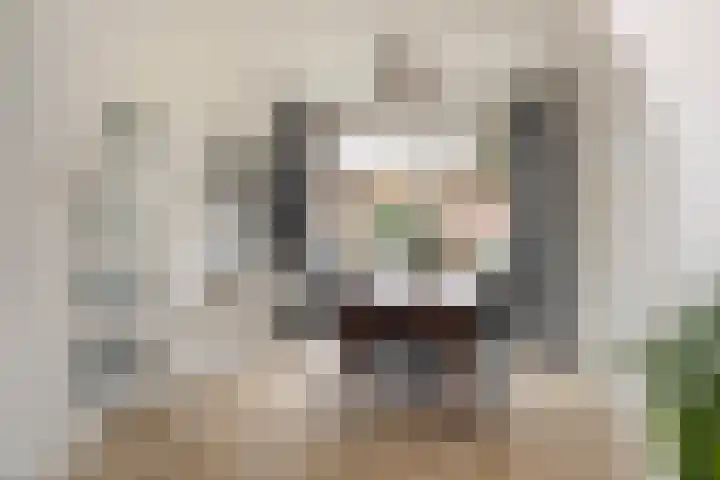 Cornelis M.J.M. Burgerlaan 9 Zeist thumbnail 7