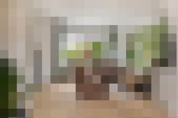 Cornelis M.J.M. Burgerlaan 9 Zeist thumbnail 9