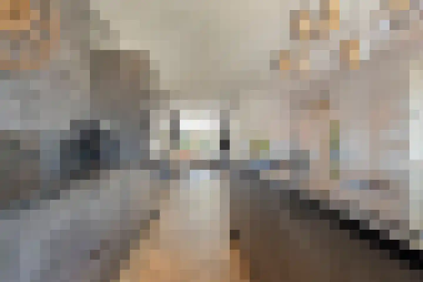 Cornelis Matersweg 102 Beverwijk thumbnail 17