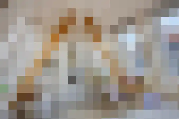 Cornelis Matersweg 104 Beverwijk thumbnail 25
