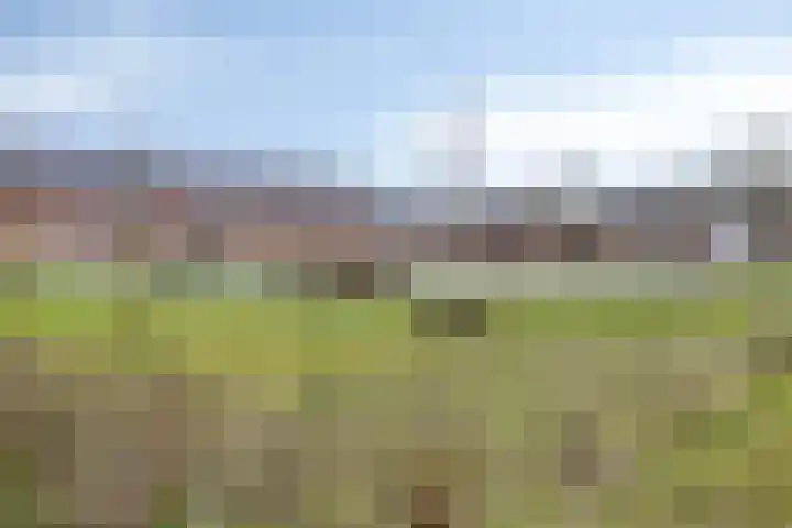 Cornelis Matersweg 104 Beverwijk thumbnail 33