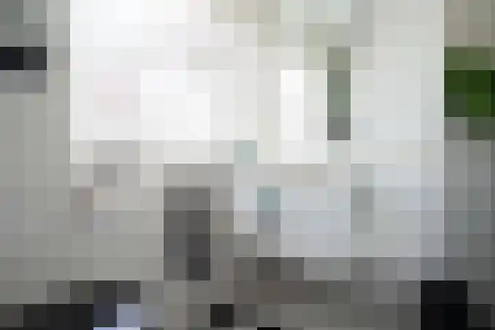 Cornelis Matersweg 12 Beverwijk thumbnail 13