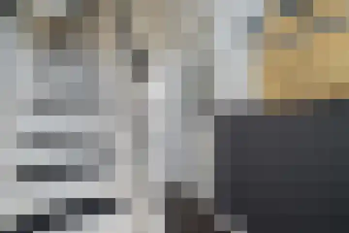 Cornelis Matersweg 12 Beverwijk thumbnail 16