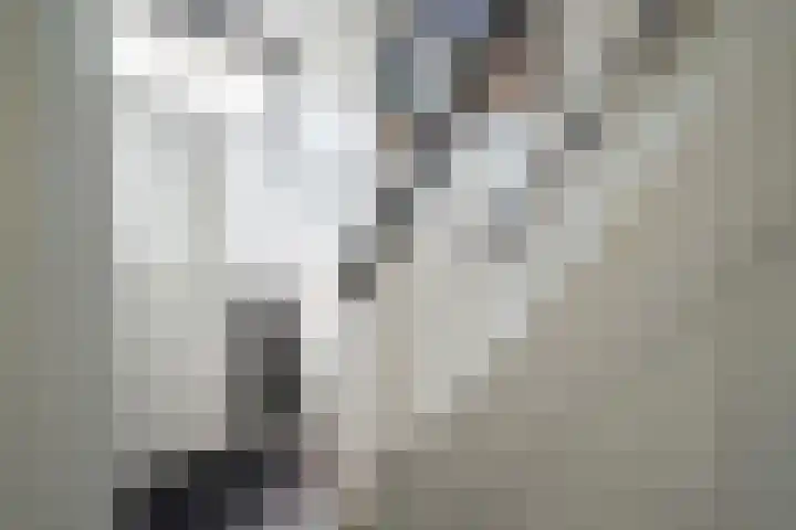 Cornelis Matersweg 12 Beverwijk thumbnail 17