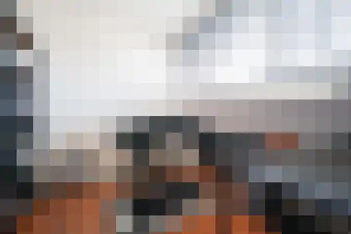 Cornelis Matersweg 12 Beverwijk thumbnail 24