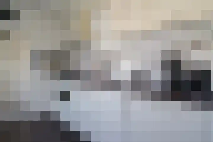 Cornelis Matersweg 12 Beverwijk thumbnail 9
