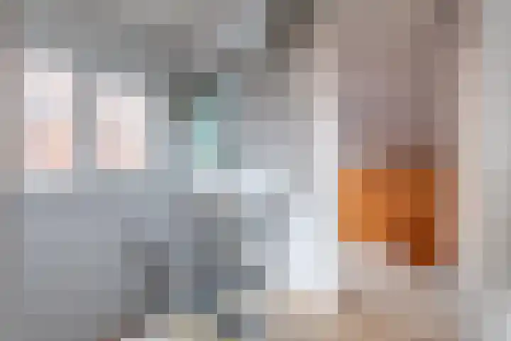 Cornelis Matersweg 13 Beverwijk thumbnail 21
