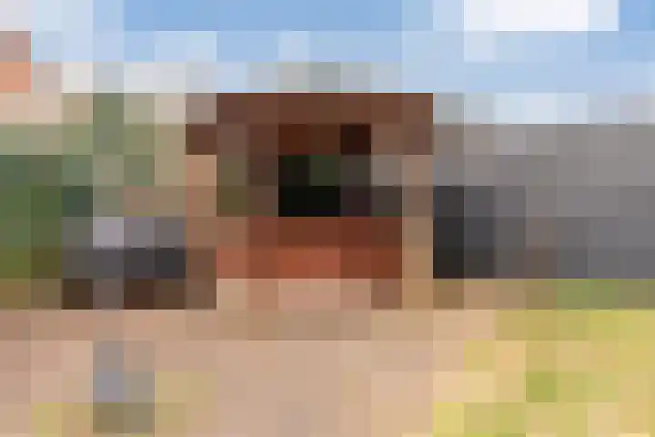 Cornelis Matersweg 13 Beverwijk thumbnail 43