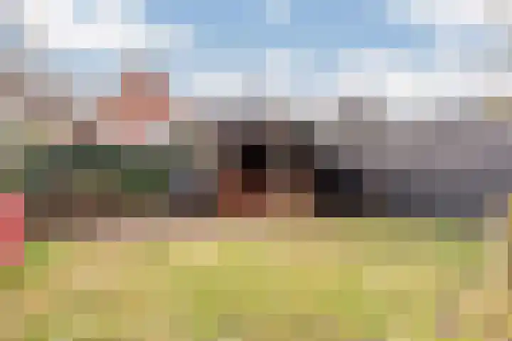 Cornelis Matersweg 13 Beverwijk thumbnail 44