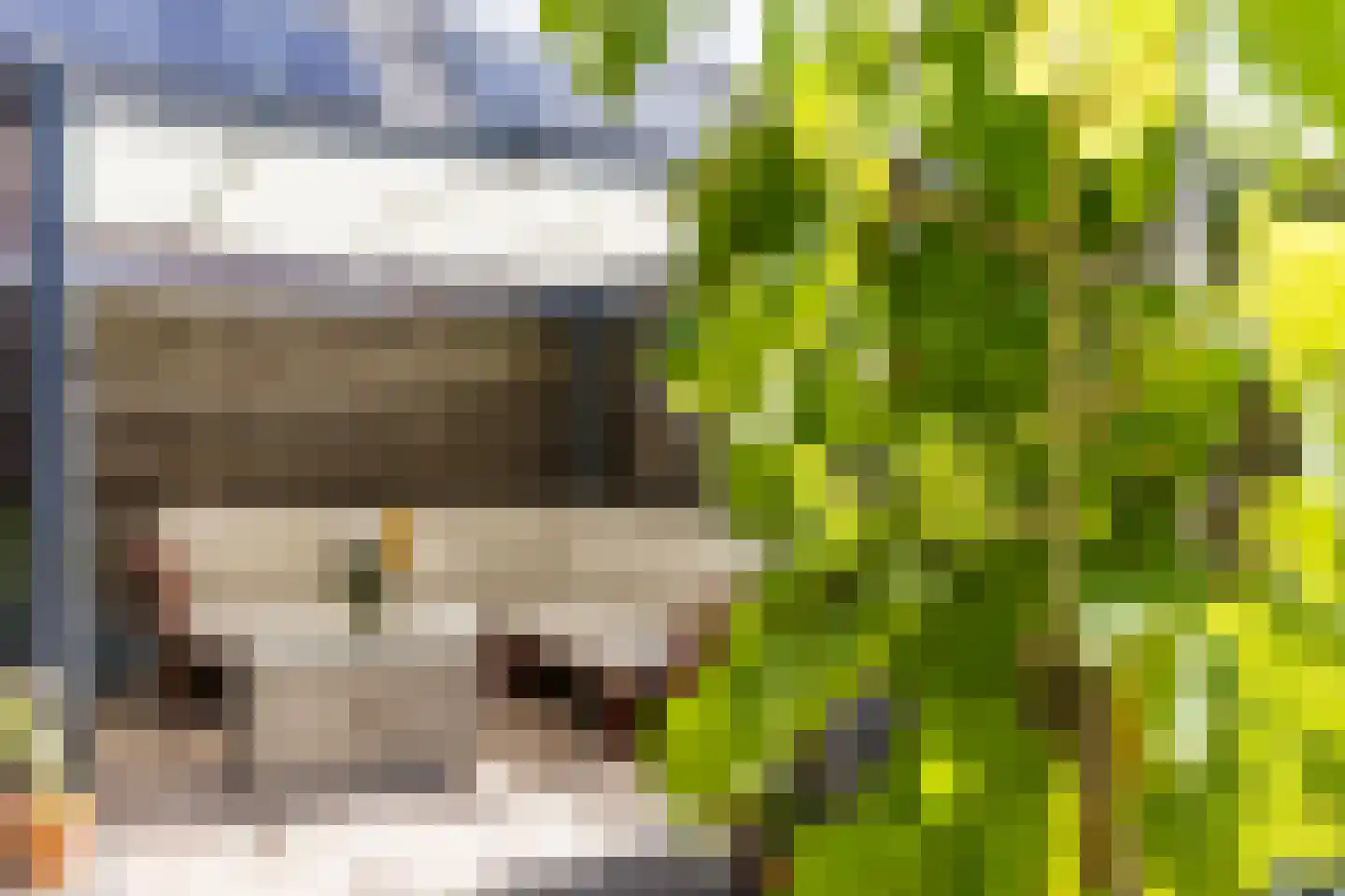 Cornelis Matersweg 20 Beverwijk thumbnail 21