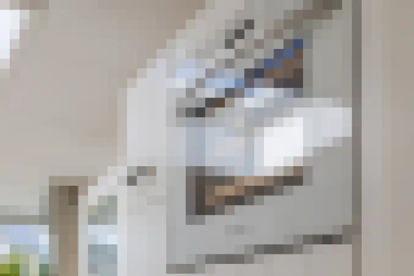 Cornelis Matersweg 20 Beverwijk thumbnail 27
