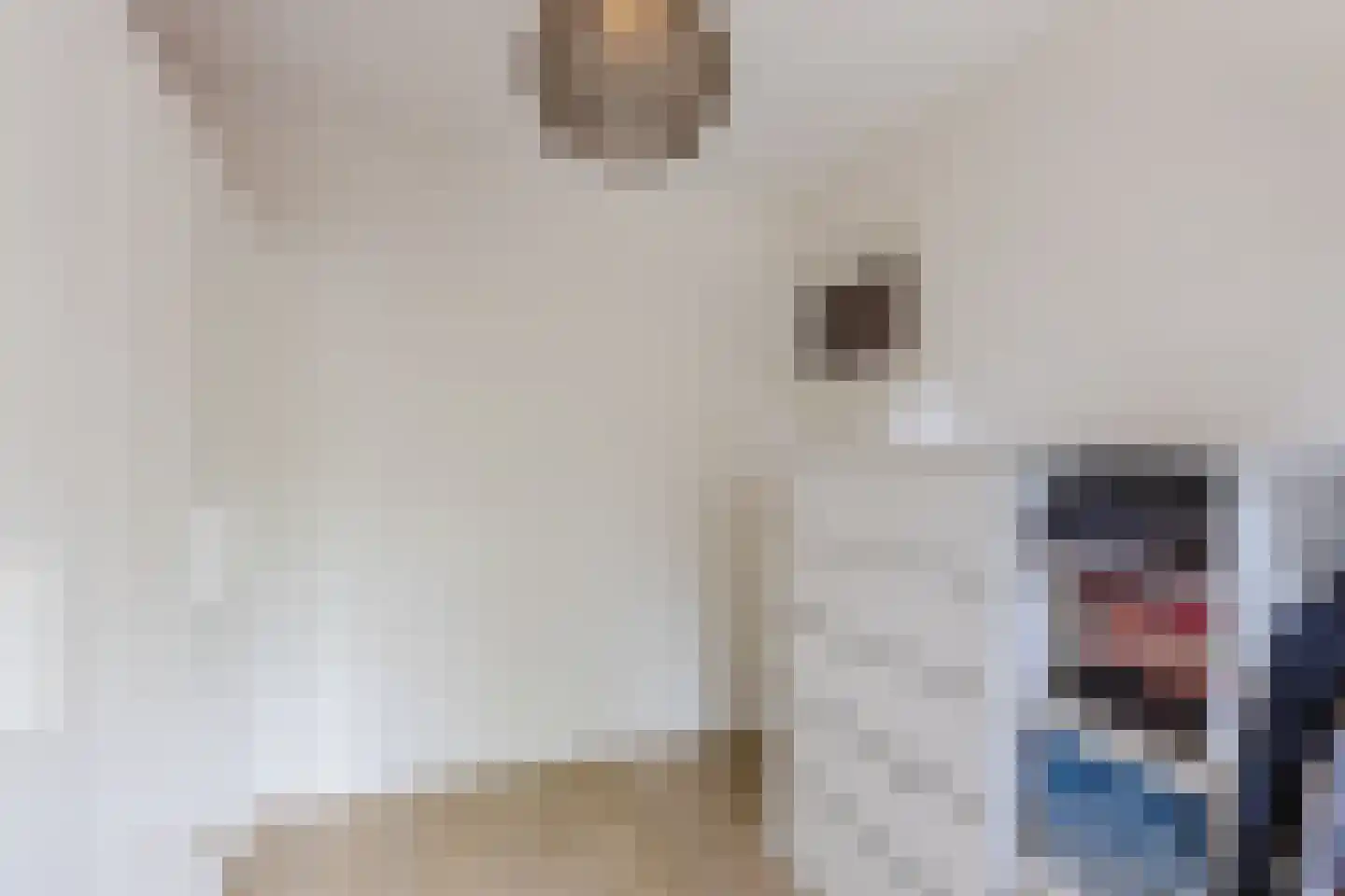 Cornelis Matersweg 20 Beverwijk thumbnail 49