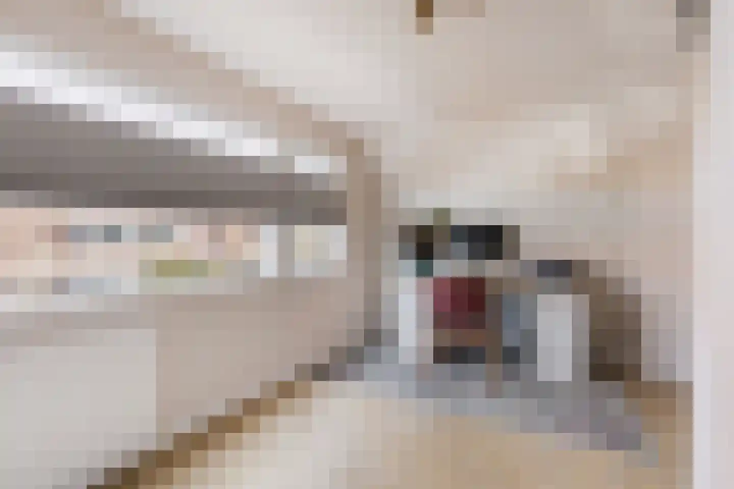 Cornelis Matersweg 31 Beverwijk thumbnail 23
