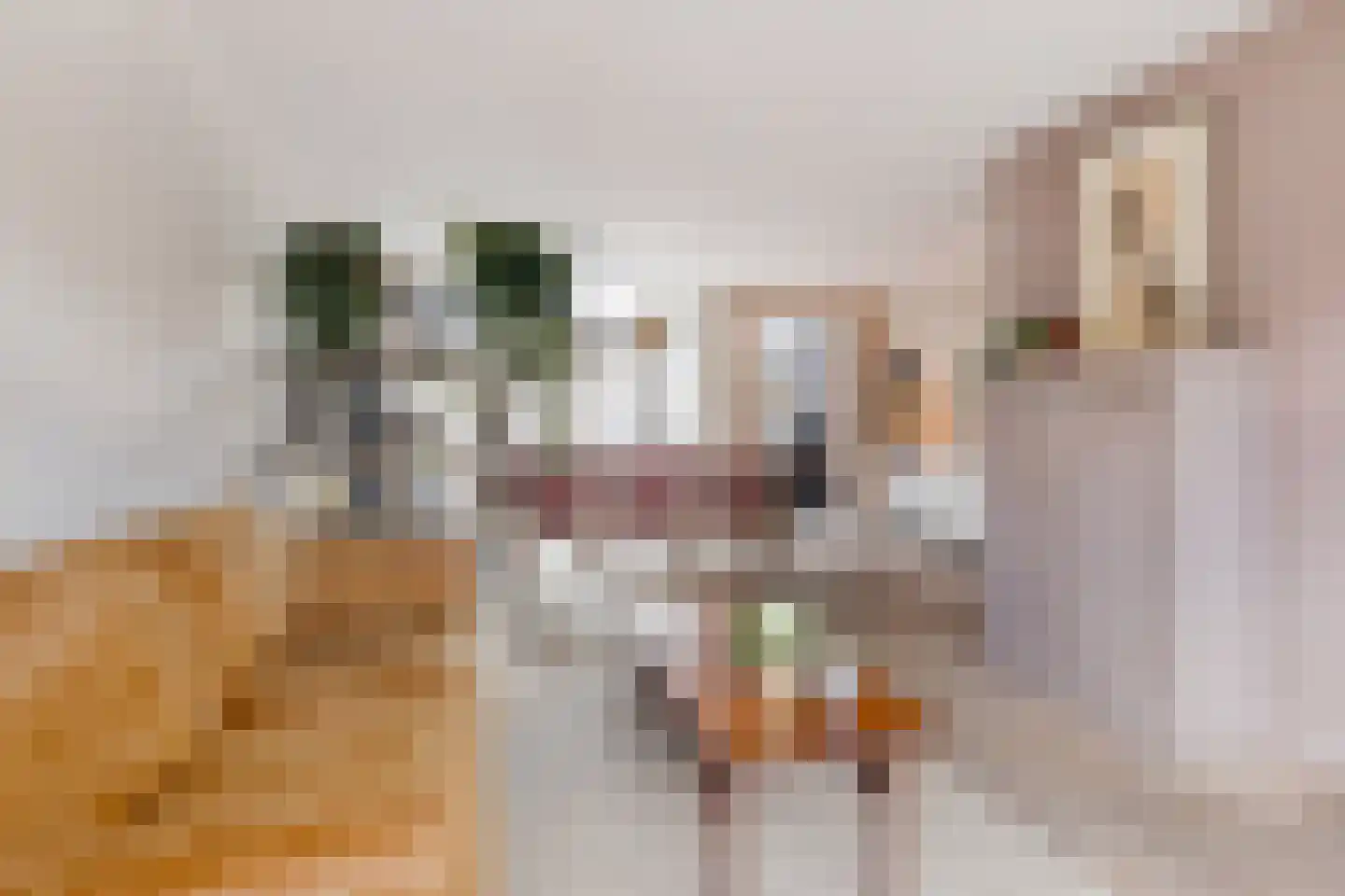 Cornelis Matersweg 31 Beverwijk thumbnail 5