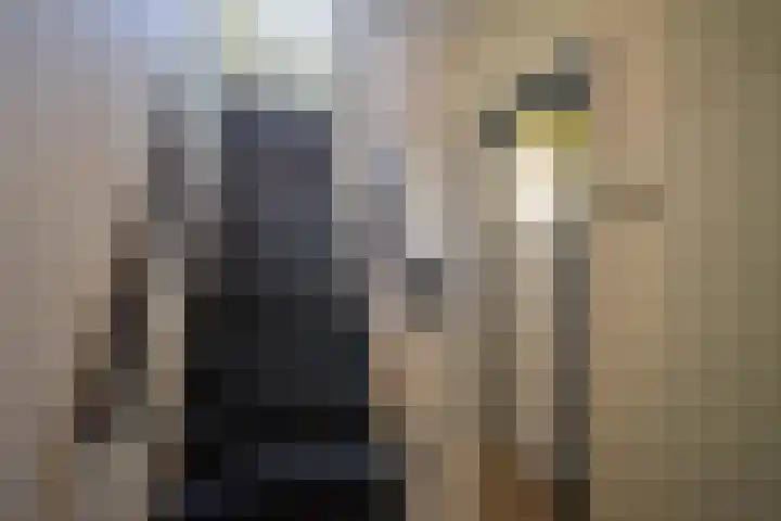Cornelis Matersweg 67 Beverwijk thumbnail 11
