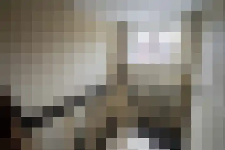 Cornelis Matersweg 67 Beverwijk thumbnail 12