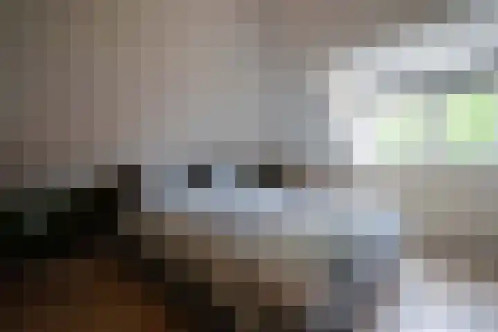 Cornelis Matersweg 67 Beverwijk thumbnail 14