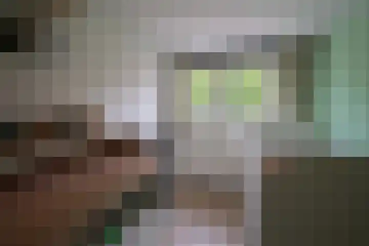 Cornelis Matersweg 67 Beverwijk thumbnail 18