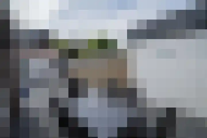 Cornelis Matersweg 67 Beverwijk thumbnail 20