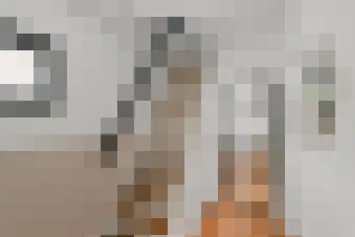 Cornelis Matersweg 69 Beverwijk thumbnail 12