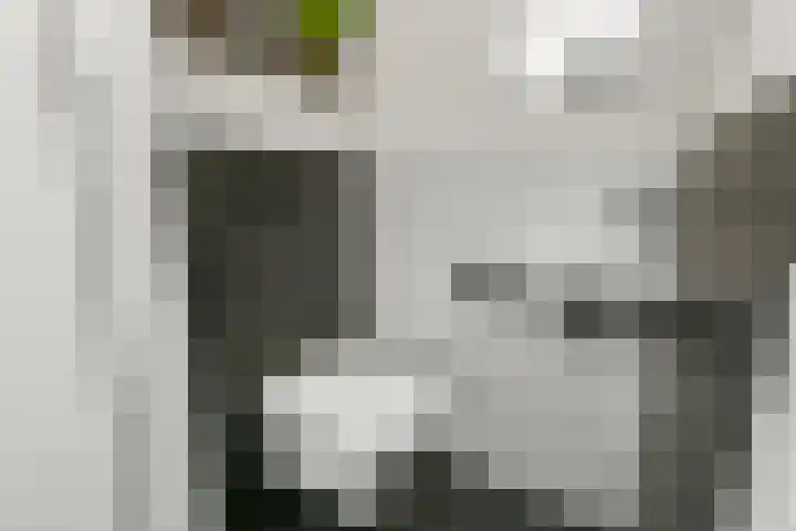 Cornelis Matersweg 69 Beverwijk thumbnail 13