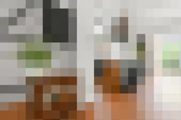Cornelis Matersweg 69 Beverwijk thumbnail 19