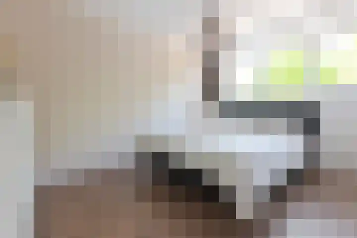 Cornelis Matersweg 69 Beverwijk thumbnail 35