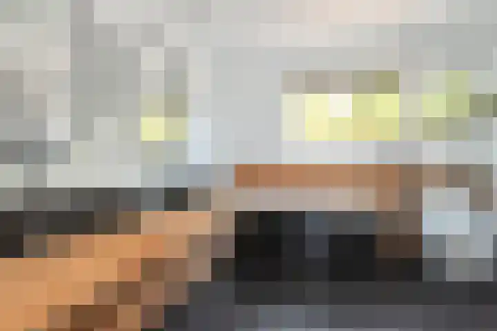 Cornelis Matersweg 69 Beverwijk thumbnail 39