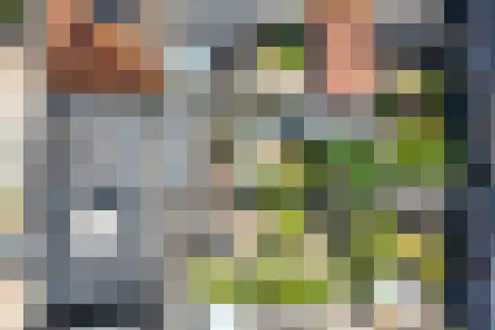 Cornelis Matersweg 69 Beverwijk thumbnail 61