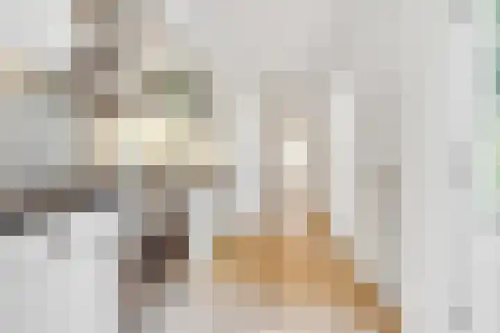 Cornelis Mertenssstraat 35 Utrecht thumbnail 12