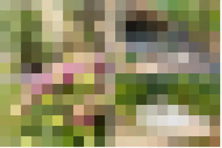 Cornelis Mertenssstraat 35 Utrecht thumbnail 31