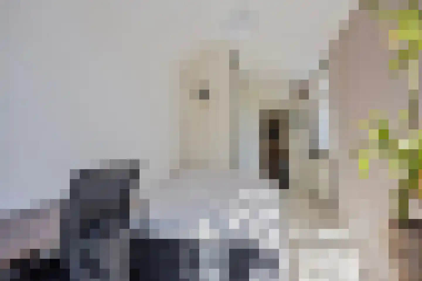Cornelis Mertenssstraat 51 Utrecht thumbnail 10