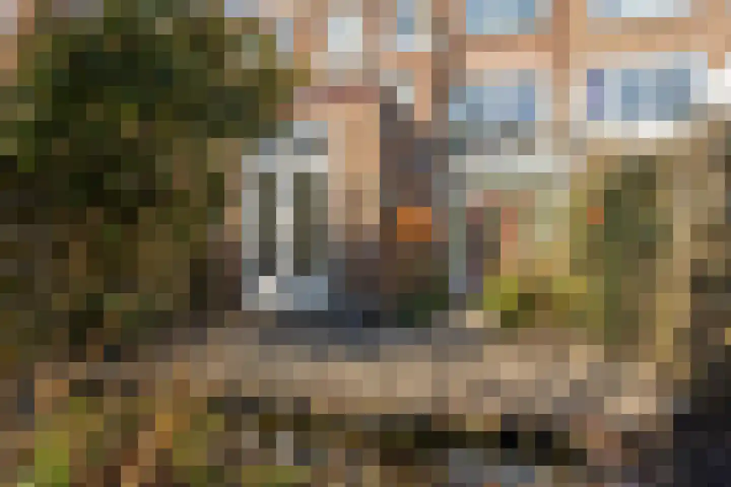 Cornelis Mertenssstraat 51 Utrecht thumbnail 15