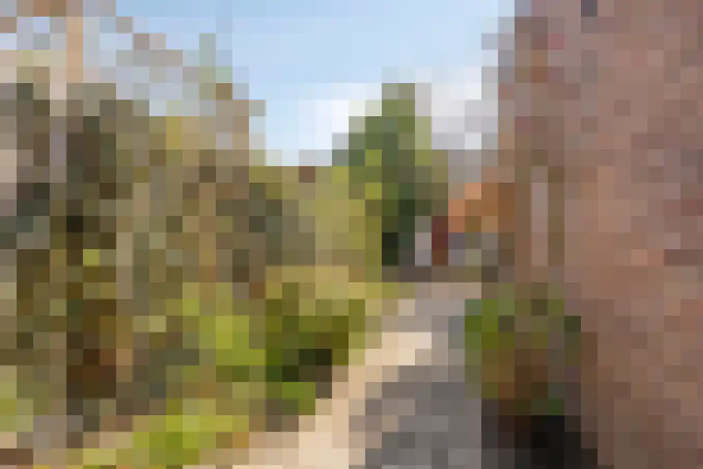 Cornelis Mertenssstraat 51 Utrecht thumbnail 16