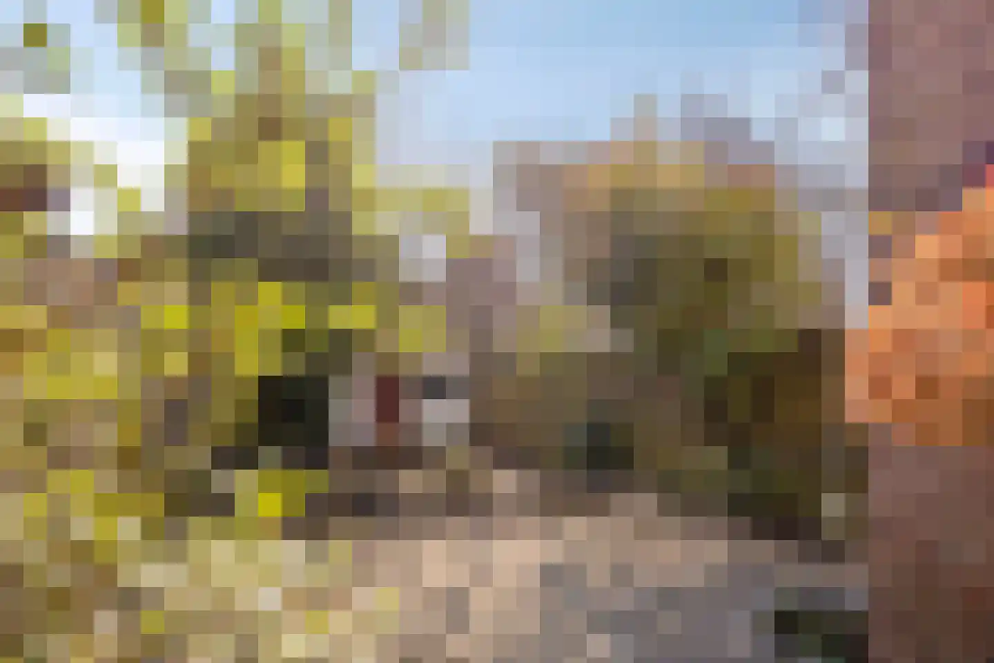Cornelis Mertenssstraat 51 Utrecht thumbnail 17
