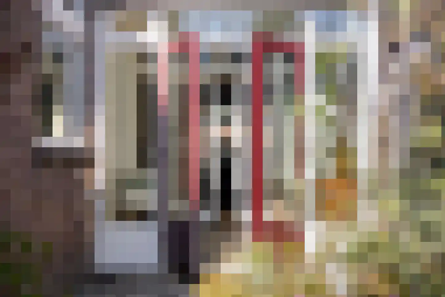 Cornelis Mertenssstraat 51 Utrecht thumbnail 20