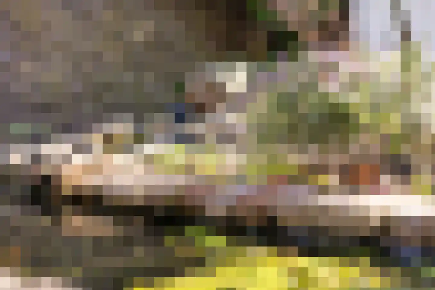 Cornelis Mertenssstraat 51 Utrecht thumbnail 22