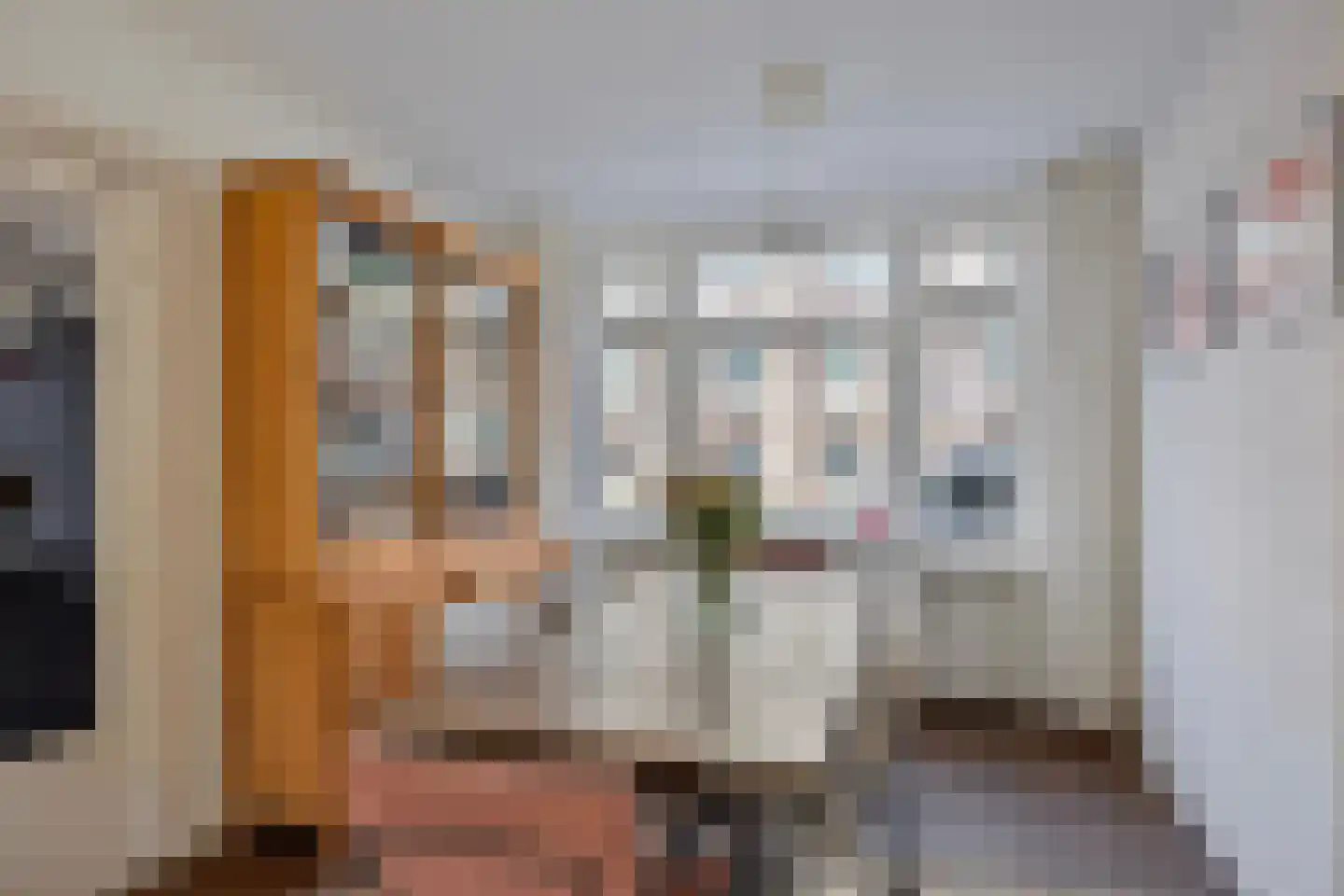 Cornelis Mertenssstraat 51 Utrecht thumbnail 6