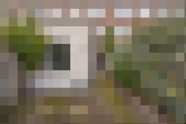 Cornelis Mertenssstraat 55 Utrecht thumbnail 27