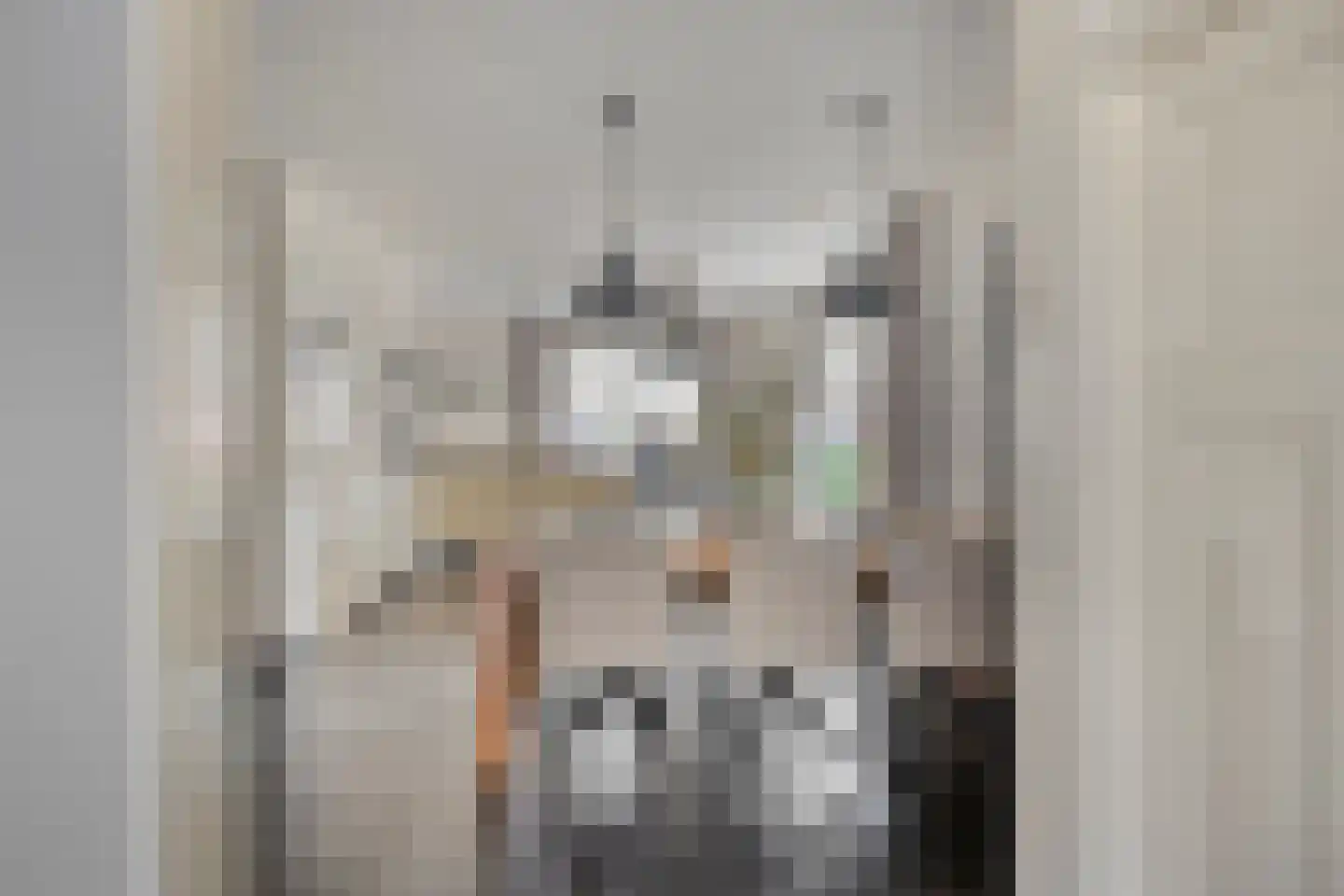 Cornelis Oomestraat 44 Raamsdonk thumbnail 13