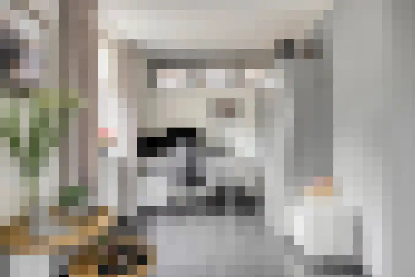 Cornelis Oomestraat 44 Raamsdonk thumbnail 15