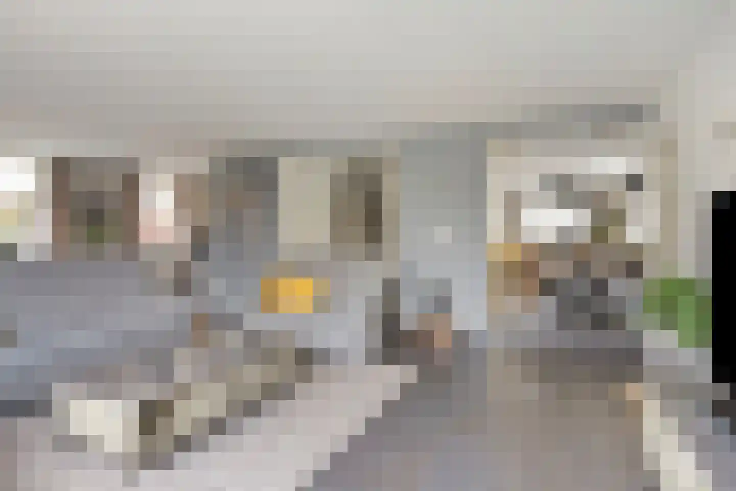 Cornelis Oomestraat 44 Raamsdonk thumbnail 15
