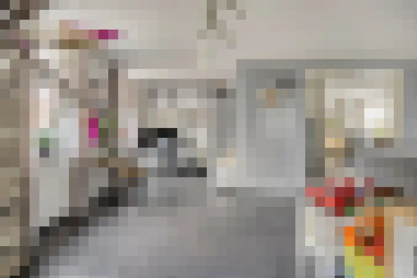 Cornelis Oomestraat 44 Raamsdonk thumbnail 16