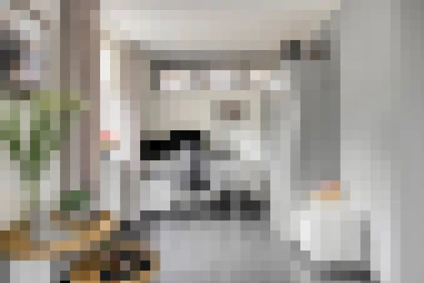 Cornelis Oomestraat 44 Raamsdonk thumbnail 17