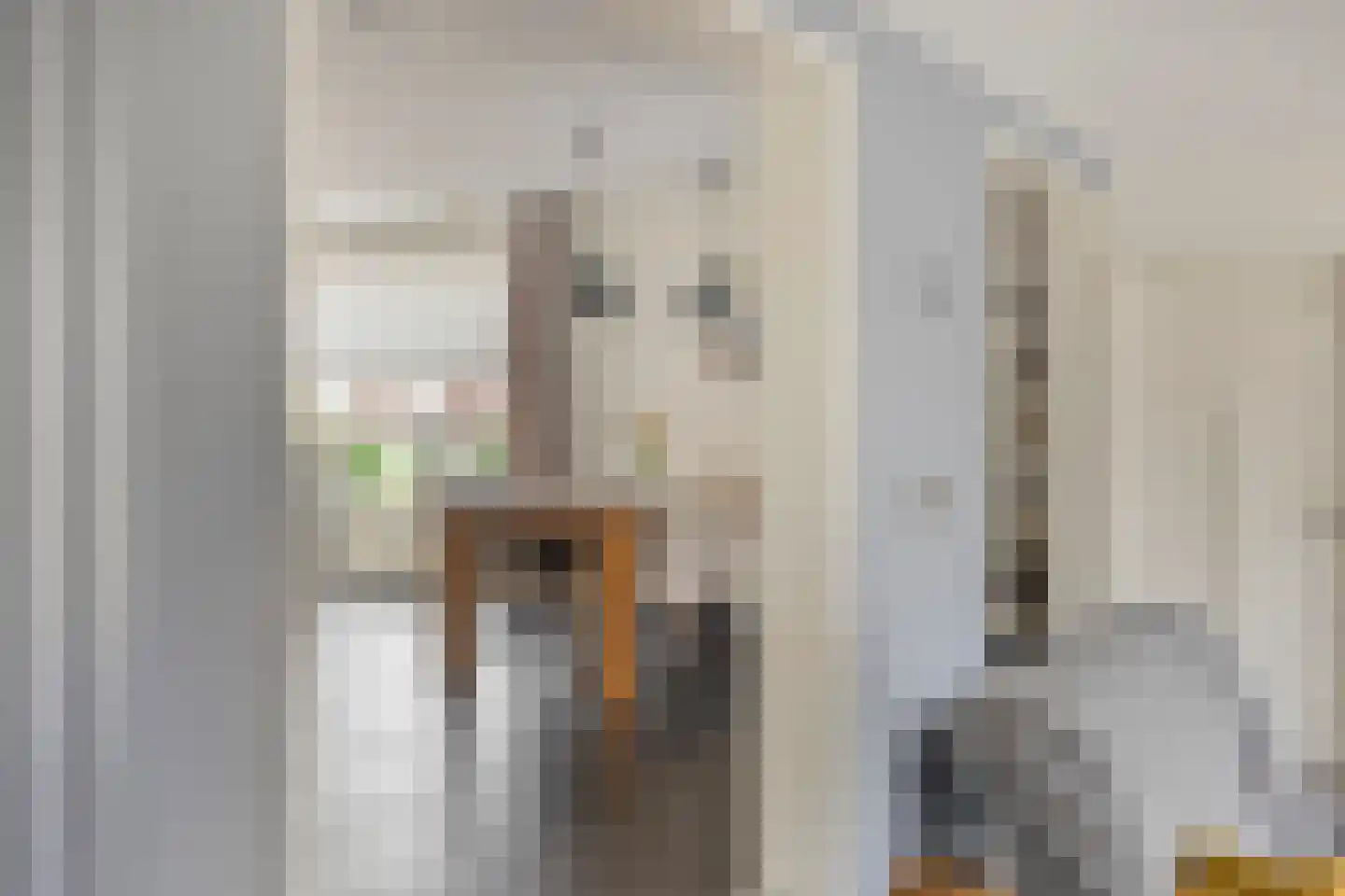 Cornelis Oomestraat 44 Raamsdonk thumbnail 19