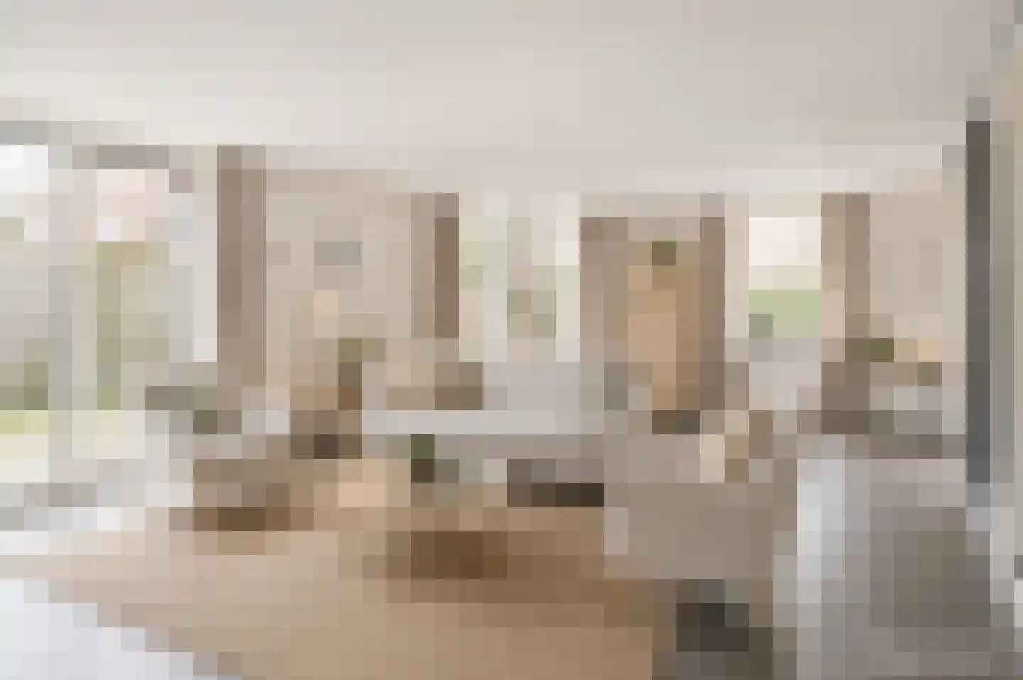 Cornelis Oomestraat 44 Raamsdonk thumbnail 20
