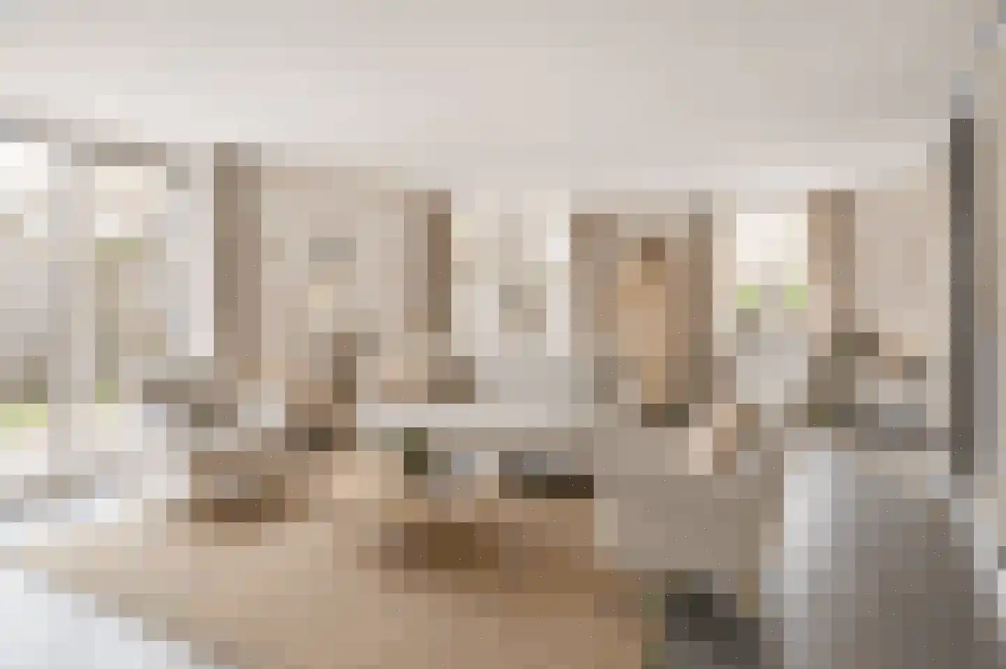 Cornelis Oomestraat 44 Raamsdonk thumbnail 21
