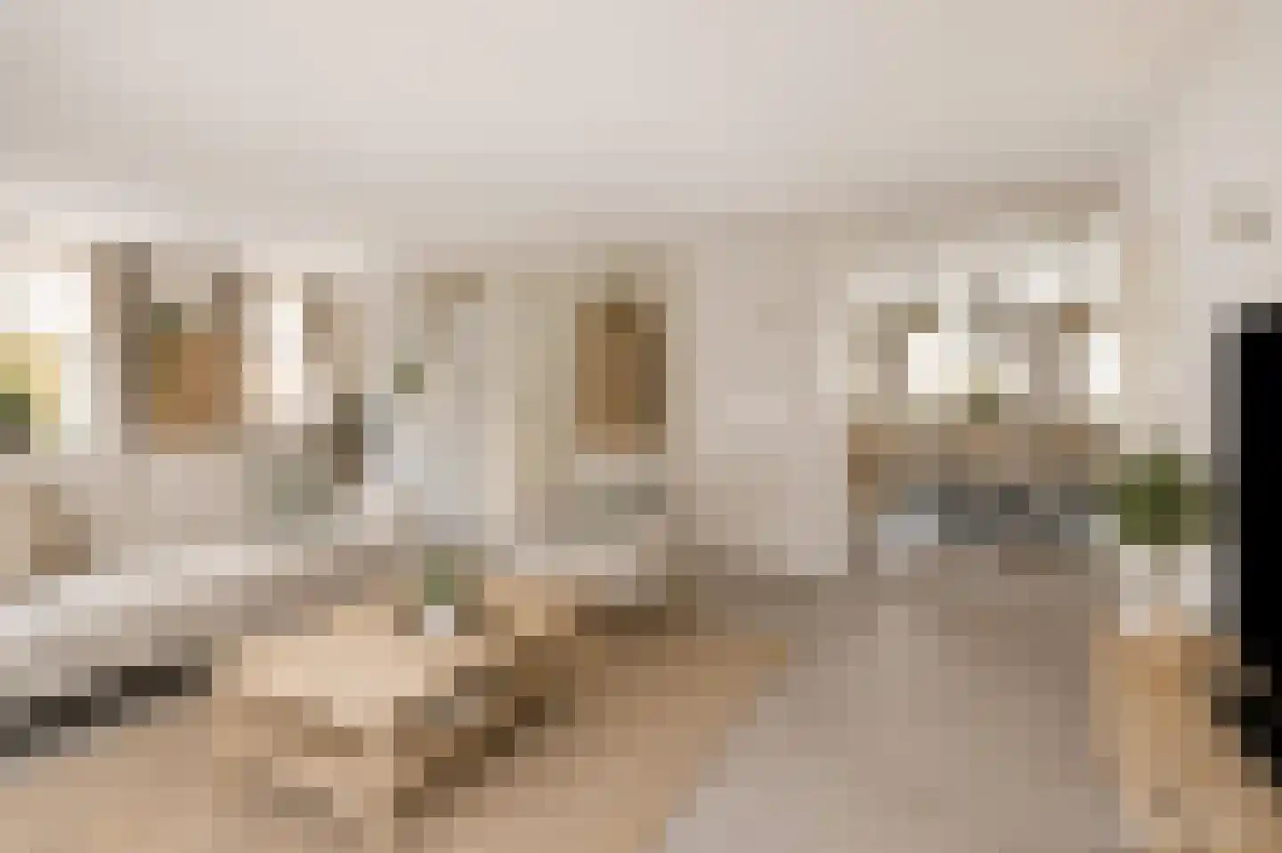 Cornelis Oomestraat 44 Raamsdonk thumbnail 21