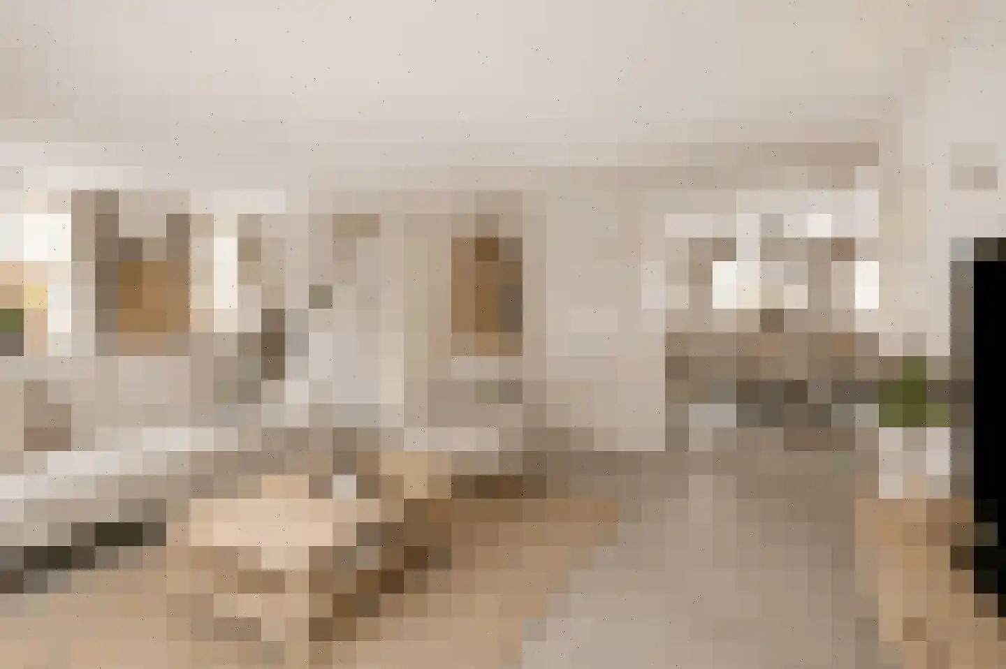 Cornelis Oomestraat 44 Raamsdonk thumbnail 22