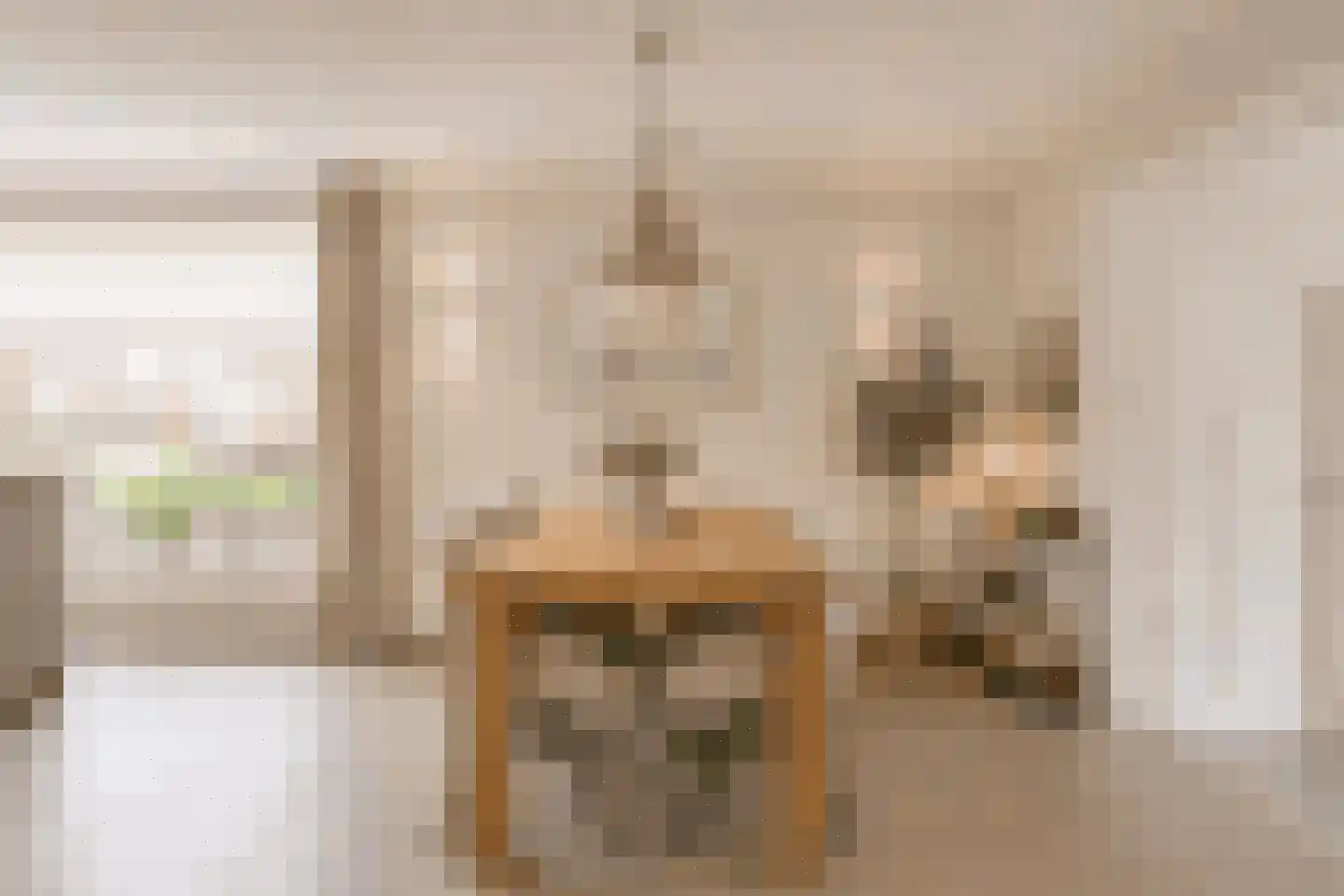 Cornelis Oomestraat 44 Raamsdonk thumbnail 23